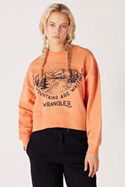 Relaxed Fit Geniş Kesim İçi Polarlı Bisiklet Yaka Turuncu Sweatshirt - Grisaille-W232314823 (görsel 2)