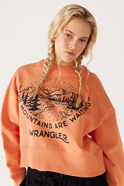 Relaxed Fit Geniş Kesim İçi Polarlı Bisiklet Yaka Turuncu Sweatshirt - Grisaille-W232314823 (görsel 3)