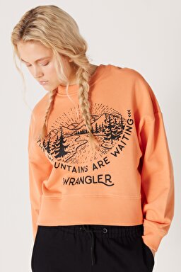 Relaxed Fit Geniş Kesim İçi Polarlı Bisiklet Yaka Turuncu Sweatshirt - Grisaille-W232314823 (görsel 4)