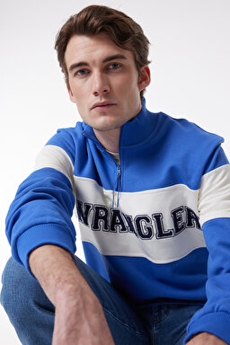 Regular Fit Normal Kesim %100 Pamuk İçi Polarlı Dik Yaka Mavi Sweatshirt - Blue-W232526400 (görsel 2)