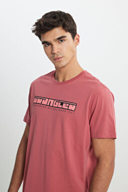 Regular Fit Normal Kesim Bisiklet Yaka %100 Pamuk Gül Kurusu Tişört - Rose-W241199620 (görsel 4)