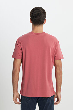 Regular Fit Normal Kesim Bisiklet Yaka %100 Pamuk Gül Kurusu Tişört - Rose-W241199620 (görsel 5)