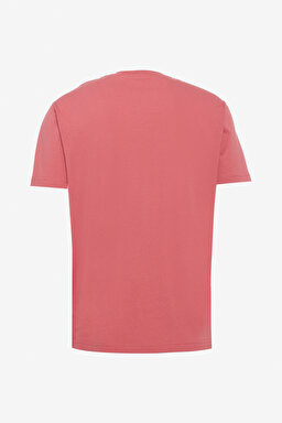 Regular Fit Normal Kesim Bisiklet Yaka %100 Pamuk Gül Kurusu Tişört - Rose-W241199620 (görsel 7)