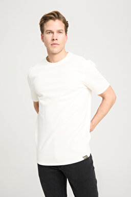 Regular Fit Normal Kesim Bisiklet Yaka Ekru Tişört - Ecru-W241404104