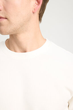 Regular Fit Normal Kesim Bisiklet Yaka Ekru Tişört - Ecru-W241404104 (görsel 4)