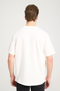 Regular Fit Normal Kesim Bisiklet Yaka Ekru Tişört - Ecru-W241404104 (görsel 5)