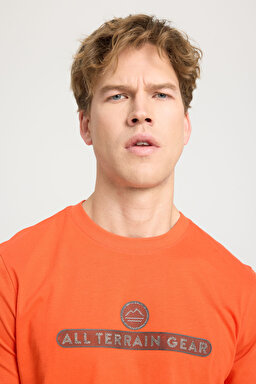 Regular Fit Normal Kesim Bisiklet Yaka %100 Pamuk Kırmızı Tişört - Red-W241538600 (görsel 4)