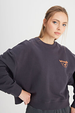 Relaxed Fit Geniş Kesim Bisiklet Yaka %100 Pamuk Siyah Sweatshirt - Faded Black-W24161433W (görsel 2)