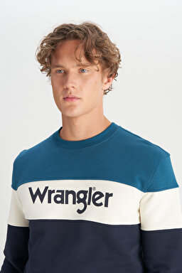 Regular Fit Normal Kesim Bisiklet Yaka İçi Polarlı Petrol Rengi Sweatshirt - Petrol-W242284405 (görsel 4)