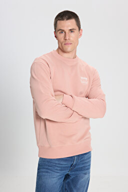 Regular Fit Normal Kesim Bisiklet Yaka Pembe Sweatshirt - Dusty Pink-W242338613 (görsel 2)