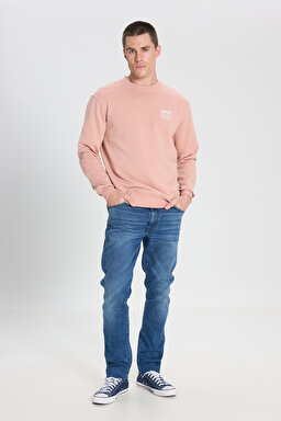 Regular Fit Normal Kesim Bisiklet Yaka Pembe Sweatshirt - Dusty Pink-W242338613 (görsel 3)