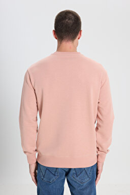Regular Fit Normal Kesim Bisiklet Yaka Pembe Sweatshirt - Dusty Pink-W242338613 (görsel 5)