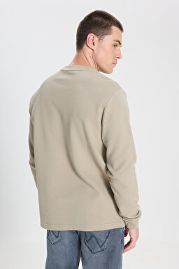 Regular Fit Normal Kesim Bisiklet Yaka %100 Pamuk Açık Yeşil Sweatshirt - Dahlia-W242501299 (görsel 6)