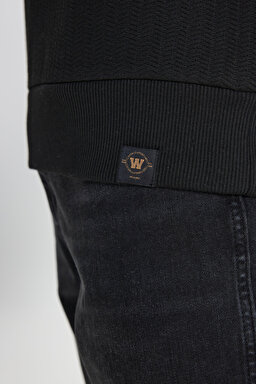 Regular Fit Normal Kesim Bisiklet Yaka Siyah Sweatshirt - Black-W242593001 (görsel 6)