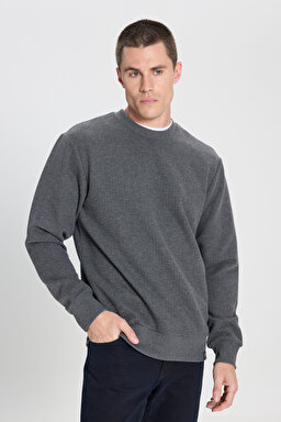 Regular Fit Normal Kesim Bisiklet Yaka Antrasit Sweatshirt - Anthracite-W242593003
