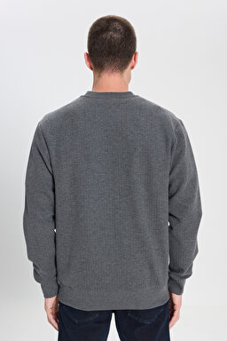 Regular Fit Normal Kesim Bisiklet Yaka Antrasit Sweatshirt - Anthracite-W242593003 (görsel 5)