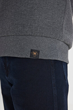 Regular Fit Normal Kesim Bisiklet Yaka Antrasit Sweatshirt - Anthracite-W242593003 (görsel 6)