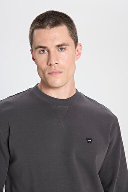 Regular Fit Normal Kesim Bisiklet Yaka Soluk Siyah Sweatshirt - Faded Black-W24272633W (görsel 4)