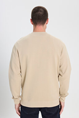 Regular Fit Normal Kesim Bisiklet Yaka Bej Sweatshirt - Beige-W242726614 (görsel 5)