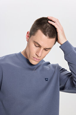 Regular Fit Normal Kesim Bisiklet Yaka Gri Sweatshirt - Grisaille-W242726823 (görsel 5)