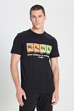 Regular Fit Normal Kesim Bisiklet Yaka Siyah Tişört - Black-W242773001