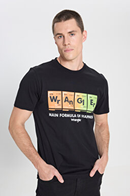 Regular Fit Normal Kesim Bisiklet Yaka Siyah Tişört - Black-W242773001 (görsel 3)