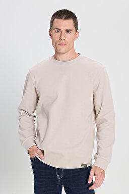 Regular Fit Normal Kesim Bisiklet Yaka Bej Tişört - Beige-W242776614 (görsel 2)