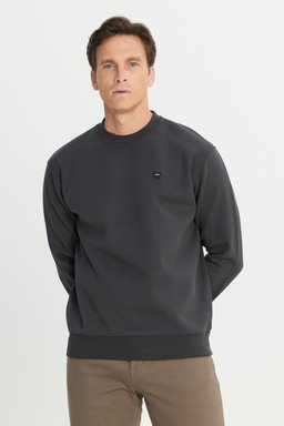 Regular Fit Normal Kesim Bisiklet Yaka Antrasit Sweatshirt - Faded Black-W24279233W (görsel 2)