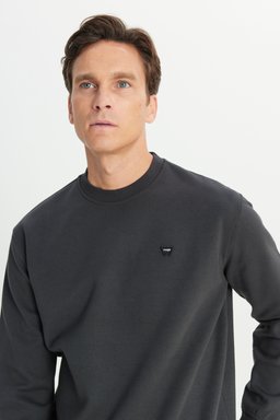 Regular Fit Normal Kesim Bisiklet Yaka Antrasit Sweatshirt - Faded Black-W24279233W (görsel 5)