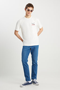 %100 Pamuk Relaxed Fit Geniş Kesim Bisiklet Yaka Kırık Beyaz Tişört - Off White-W2510531102 (görsel 3)