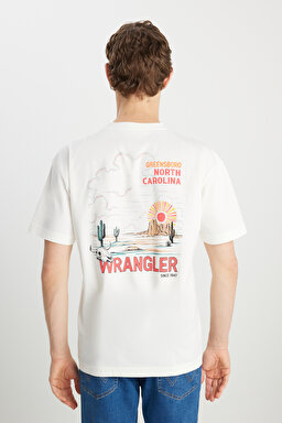 %100 Pamuk Relaxed Fit Geniş Kesim Bisiklet Yaka Kırık Beyaz Tişört - Off White-W2510531102 (görsel 5)