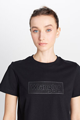 Regular Fit Normal Kesim Bisiklet Yaka %100 Pamuk Siyah Tişört - Black-W2510755001 (görsel 4)
