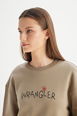 %100 Pamuk Relaxed Fit Geniş Bisiklet Yaka Bej Big Logo Sweatshirt - Beige-W2520094614 (görsel 4)
