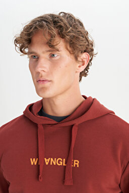 Pamuklu Regular Fit Normal Kesim Kapüşonlu Logo Detaylı Sweatshirt - Wine-W2520122810 (görsel 4)