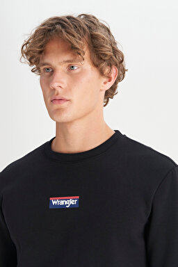 Regular Fit Normal Kesim Kapüşonlu İçi Polarlı Siyah Sweatshirt - Black-W2520133001 (görsel 4)