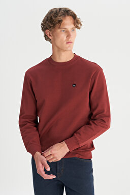 Pamuklu Regular Fit Normal Kesim Bisiklet Yaka Logo Detaylı Sweatshirt - Fired Brick-W2520255169 (görsel 3)