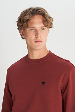 Pamuklu Regular Fit Normal Kesim Bisiklet Yaka Logo Detaylı Sweatshirt - Fired Brick-W2520255169 (görsel 4)