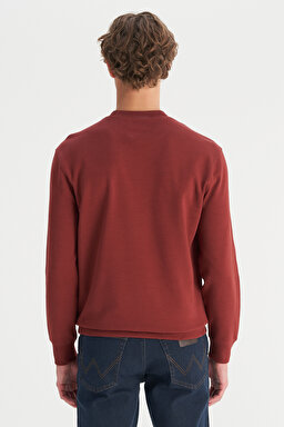 Pamuklu Regular Fit Normal Kesim Bisiklet Yaka Logo Detaylı Sweatshirt - Fired Brick-W2520255169 (görsel 5)