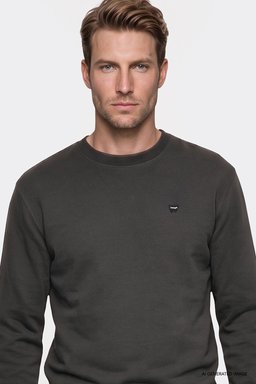 Pamuklu Regular Fit Normal Kesim Bisiklet Yaka Logo Detaylı Sweatshirt - FadedBlack-W252025533W (görsel 4)