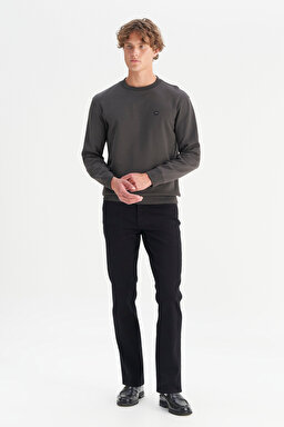 Pamuklu Regular Fit Normal Kesim Bisiklet Yaka Logo Detaylı Sweatshirt - FadedBlack-W252025533W (görsel 2)