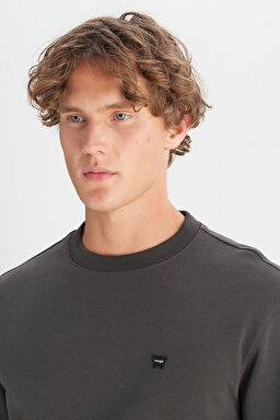 Pamuklu Regular Fit Normal Kesim Bisiklet Yaka Logo Detaylı Sweatshirt - FadedBlack-W252025533W (görsel 4)
