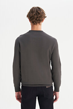 Pamuklu Regular Fit Normal Kesim Bisiklet Yaka Logo Detaylı Sweatshirt - FadedBlack-W252025533W (görsel 5)