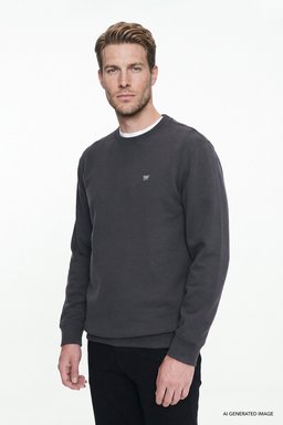 Pamuklu Selanik Regular Fit Normal Kesim Bisiklet Yaka Sweatshirt - Anthracita-W2620080003