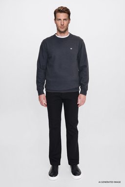 Pamuklu Selanik Regular Fit Normal Kesim Bisiklet Yaka Sweatshirt - Anthracita-W2620080003 (görsel 2)