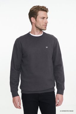 Pamuklu Selanik Regular Fit Normal Kesim Bisiklet Yaka Sweatshirt - Anthracita-W2620080003 (görsel 3)
