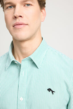 Regular Fit Normal Kesim %100 Pamuk Yeşil Gömlek - Green Stripe Oxford-W5A2205580P80 (görsel 4)