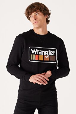 Regular Fit Normal Kesim %100 Pamuk İçi Polarlı Siyah Sweatshirt - Black-W646H1001
