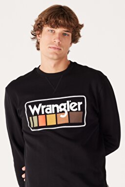 Regular Fit Normal Kesim %100 Pamuk İçi Polarlı Siyah Sweatshirt - Black-W646H1001 (görsel 2)