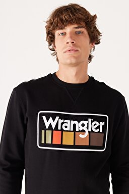 Regular Fit Normal Kesim %100 Pamuk İçi Polarlı Siyah Sweatshirt - Black-W646H1001 (görsel 3)