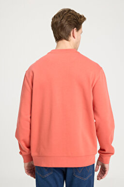 Regular Fit Normal Kesim Bisiklet Yaka %100 Pamuk Turuncu Sweatshirt - Burnt Sienna-W66120554333L (görsel 5)